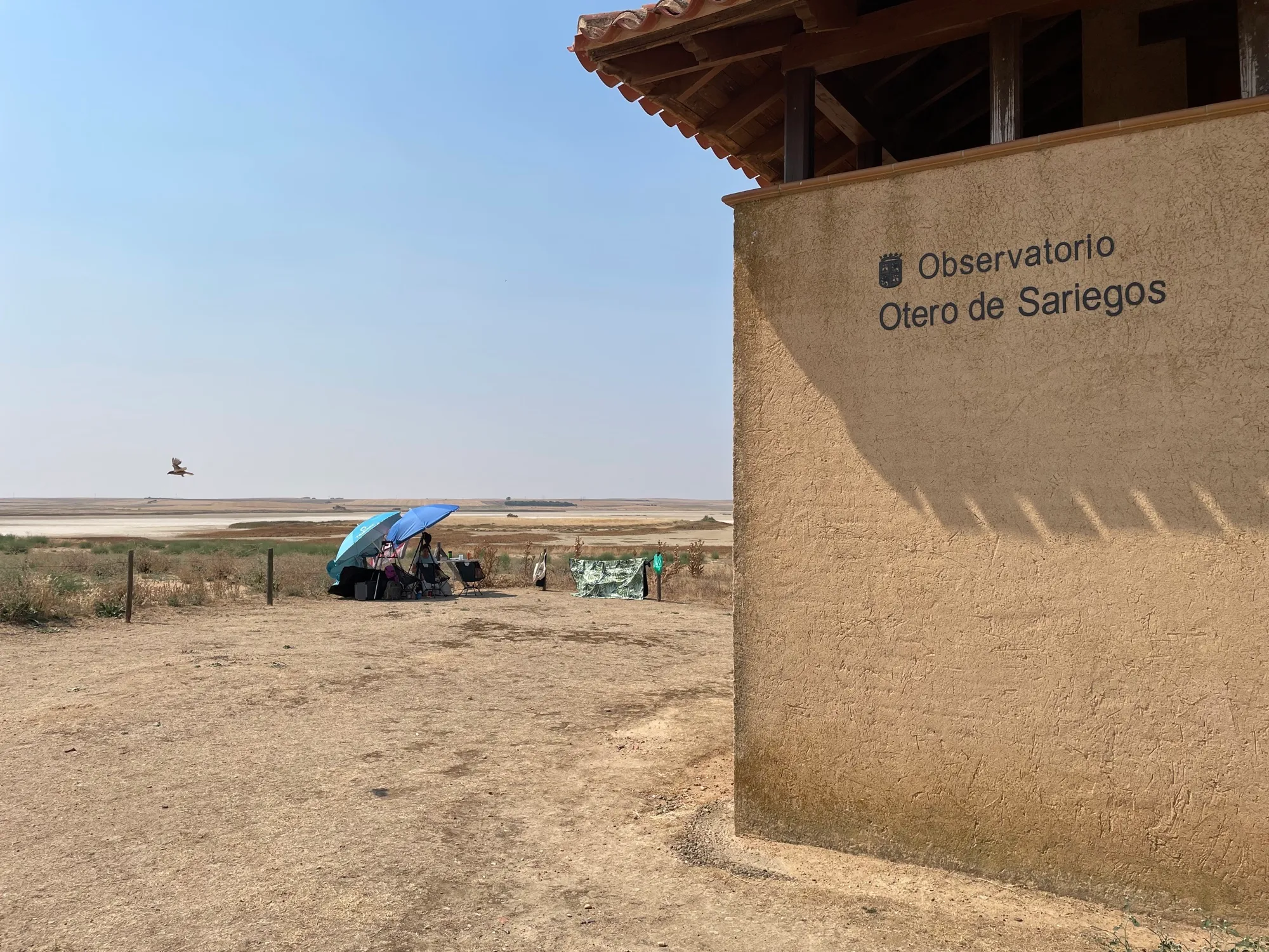 El equipo montado bajo dos sombrillas en la esquina del recinto junto a la laguna, con el edificio del observatorio a la derecha