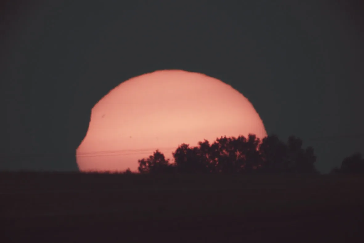 El Sol poniéndose tras una hilera de árboles, de color rojo intenso, con la mordida de la Luna todavía visible en el borde del disco